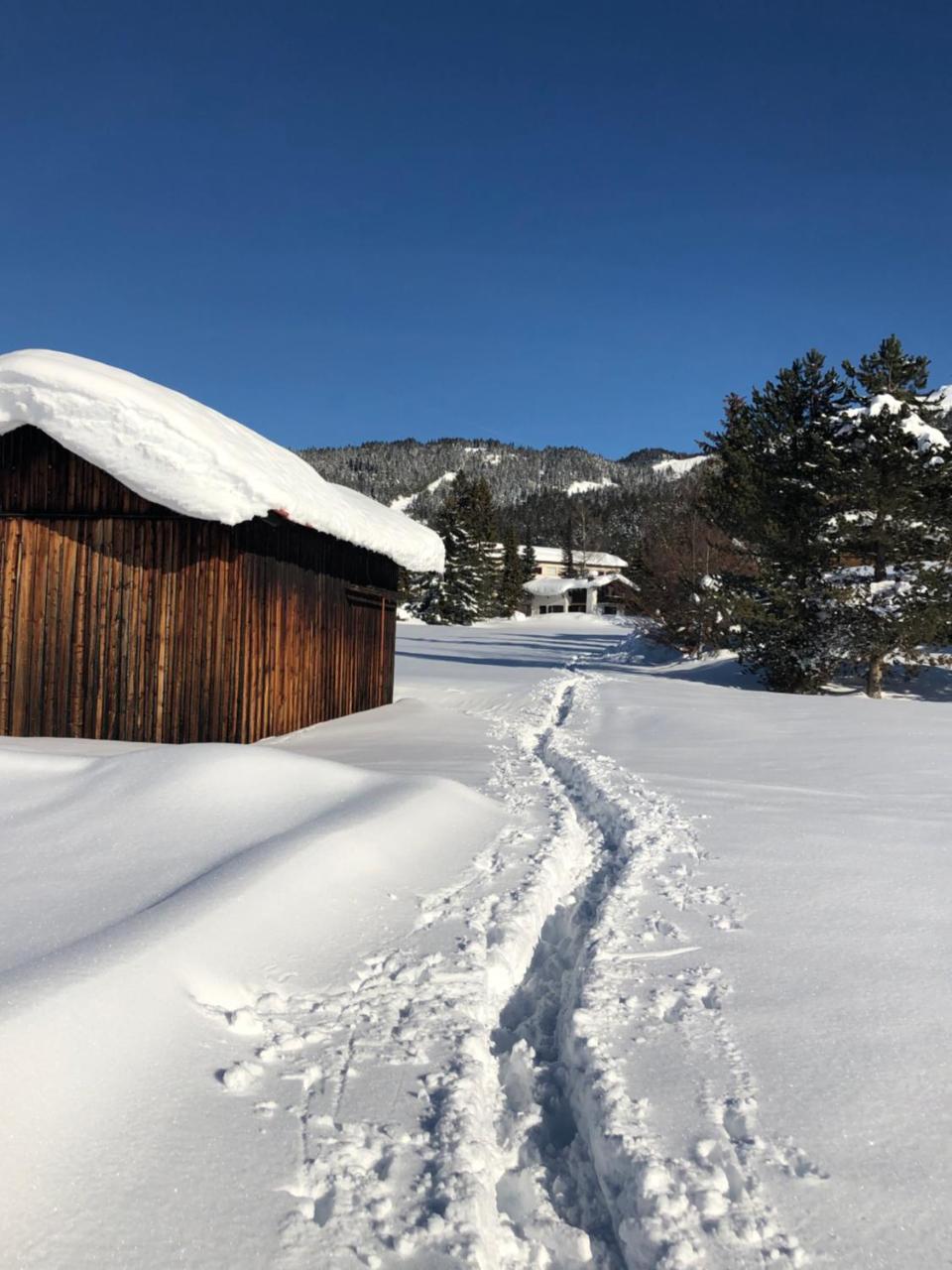 Hotel Menthof Seefeld in Tirol Exterior foto